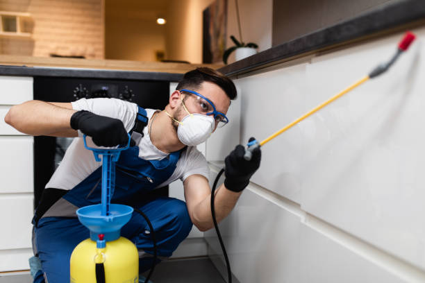 Wasp Removal Services in Centre, AL
