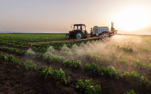 Best Mosquito Control Services  in Centre, AL