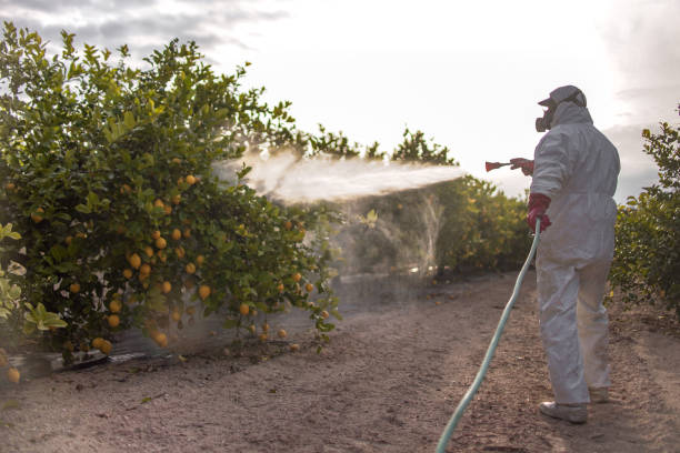 Pest Control Cost in Centre, AL