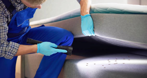 Best Pest Removal Services  in Centre, AL