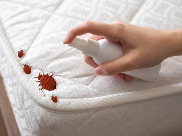 Centre, AL Pest Control Company